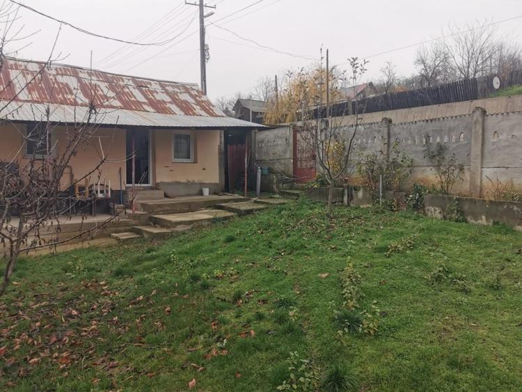 Casă individuală cu 4 camere cu Teren 7000 Mp în Argetoaia