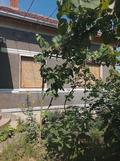 Casă cu 3 camere cu Teren 700 Mp în Central