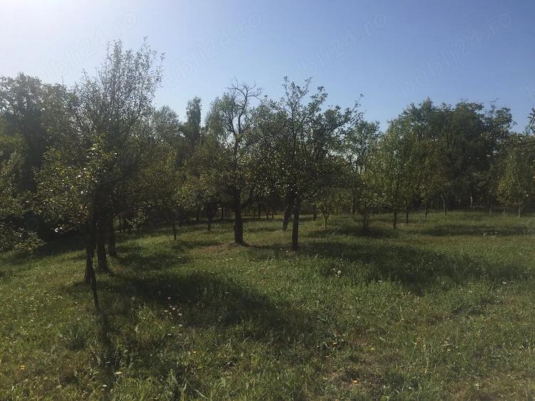 Teren de 11000 mp, în Drajna