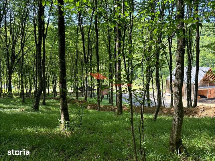 Teren de 10000 mp, în Central