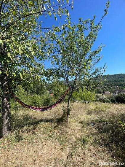 Teren de 3600 mp, în Morilor