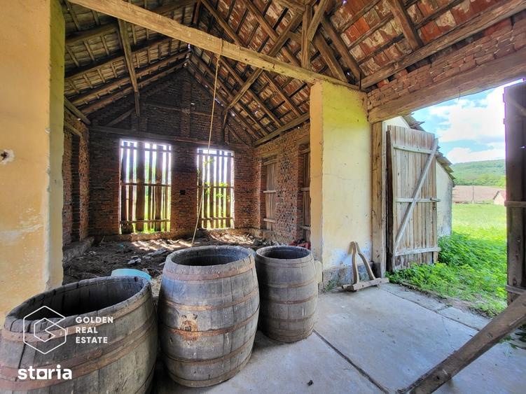Casă cu 4 camere decomandat cu Teren 5000 Mp în Bârzava