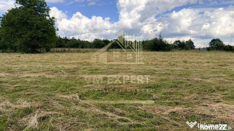 Casă cu 3 camere cu Teren 6997 Mp în Bughea de Sus