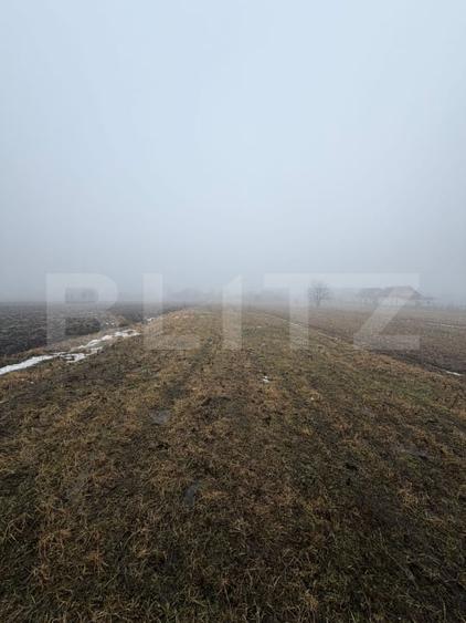 Teren agricol intravilan de 2500 mp, în Periferie