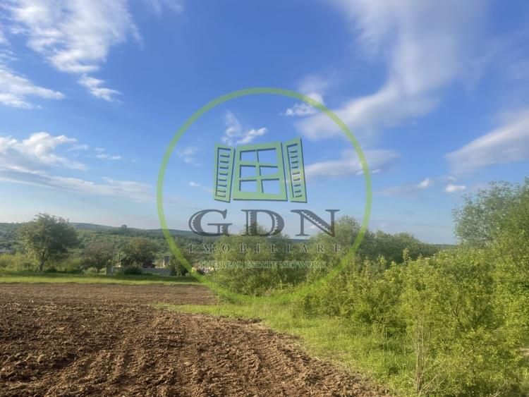 Teren Construcții intravilan de 2500 mp, în Daia