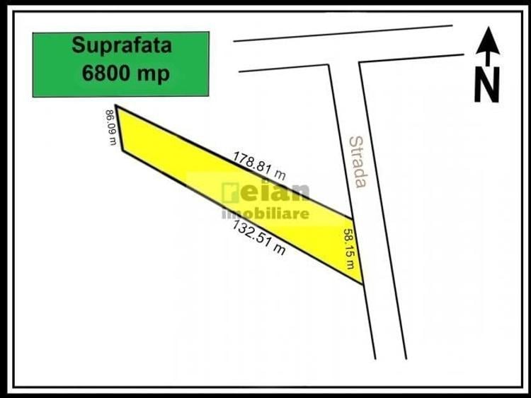 Ciolpani - Caro Events, Padure, 6800 mp, Padure, 58 ml deschidere - 4