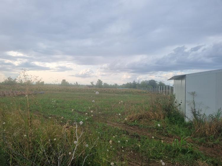 Teren Construcții intravilan de 1080 mp, în Ciolpani
