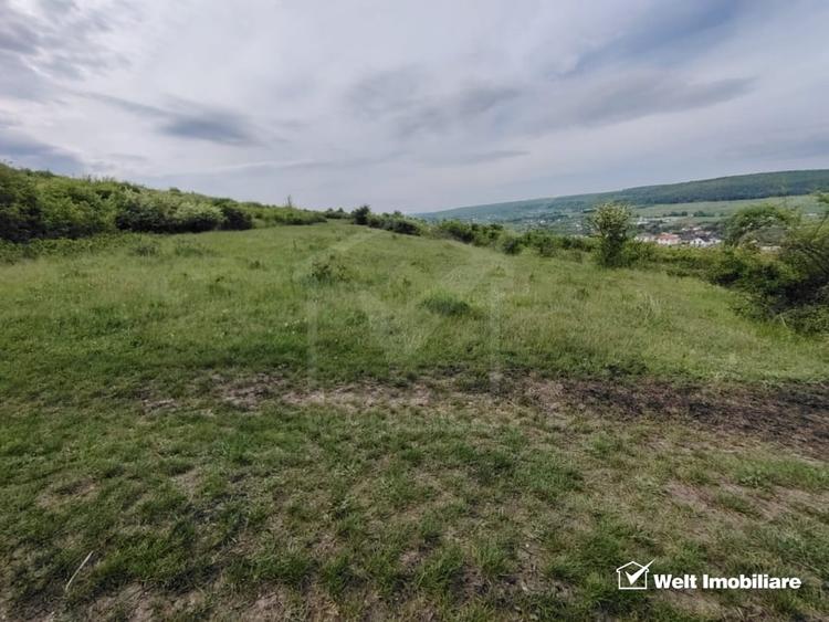 Teren agricol intravilan de 8700 mp, în Chinteni