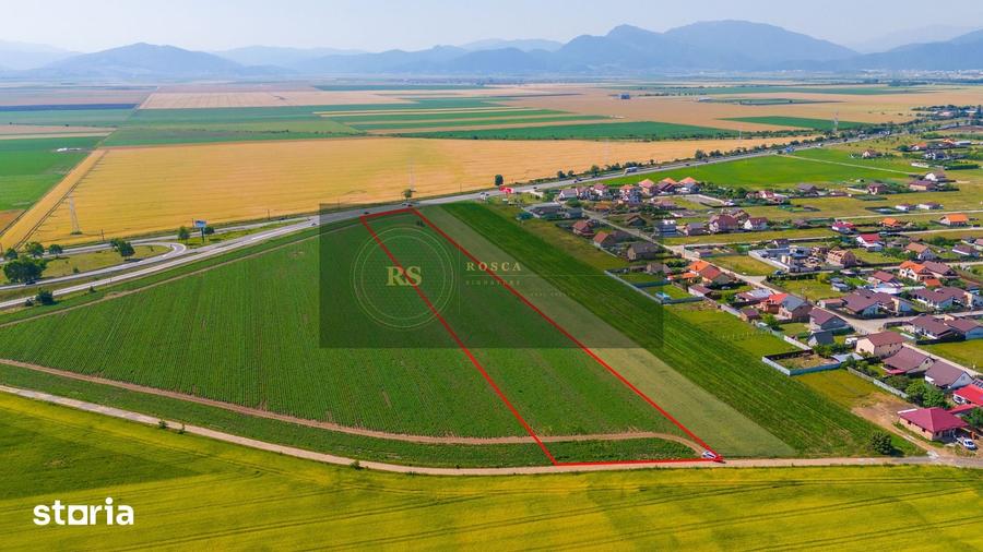Teren de 15600 mp, în Hărman