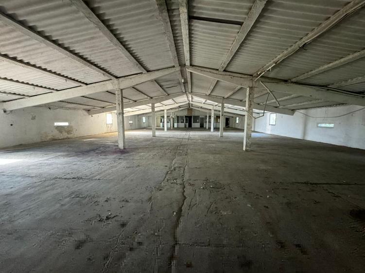 Spațiu industrial, de 1,200 mp, în Șofronea
