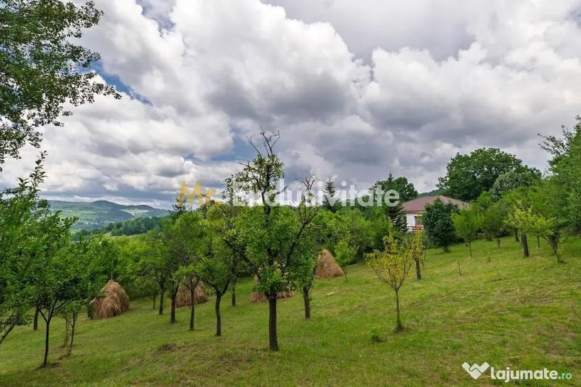 Casă cu 3 camere cu Teren 6290 Mp în Corbi