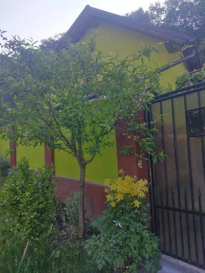 Casă cu Teren 273 Mp în Central