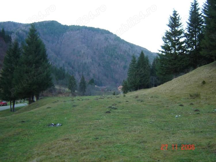 Teren în Plaiul Foii