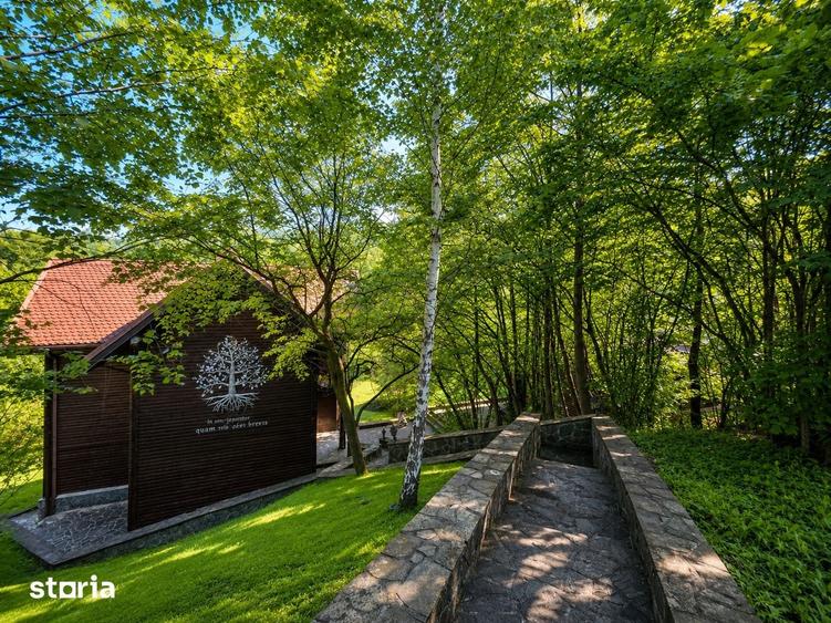 Mountain Chalet | Private Resort | Investment - Nistoresti - 12