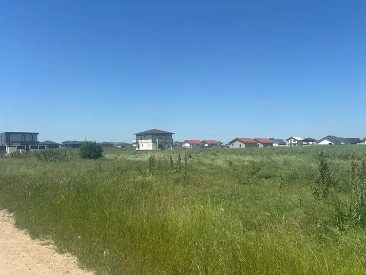 Teren agricol intravilan de 500 mp, în Berceni