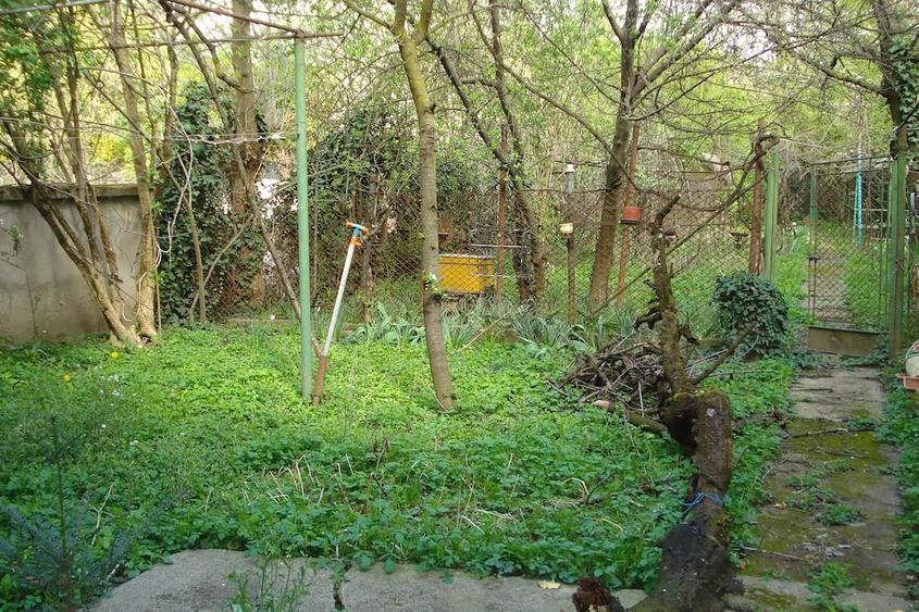 Casă cu 3 camere cu Teren 630 Mp în Bălcescu