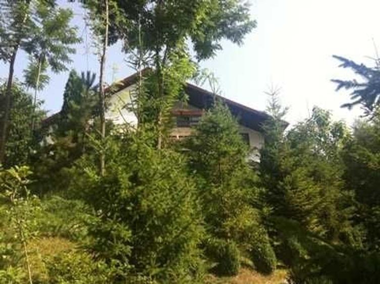 Casă cu 4 camere cu Teren 6200 Mp în Provița de Jos