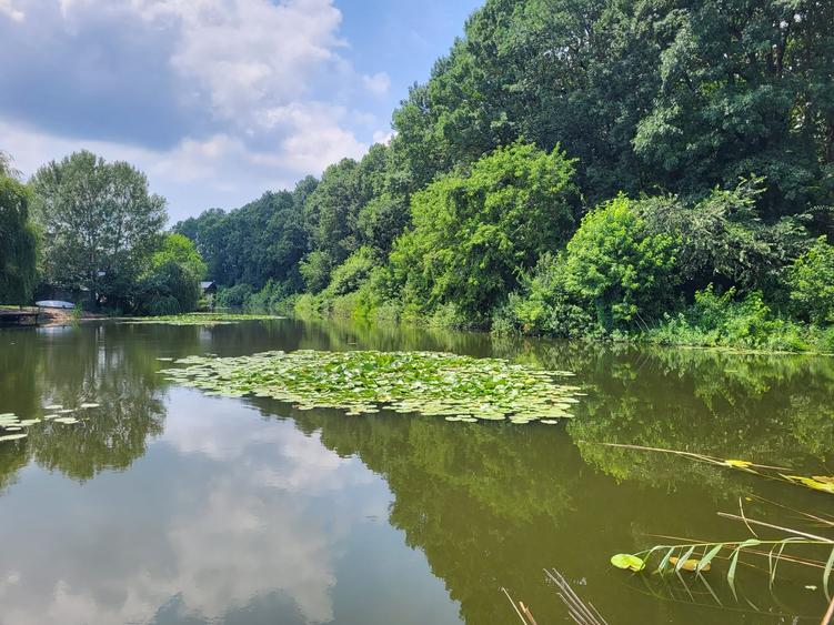 VANZARE TEREN ACCES LAC - 1