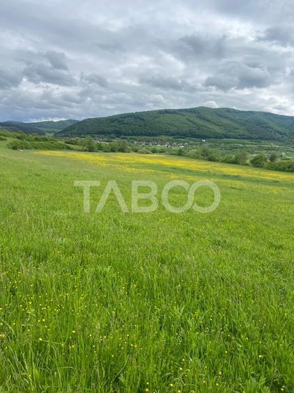 Teren agricol extravilan de 3600 mp, în Poplaca