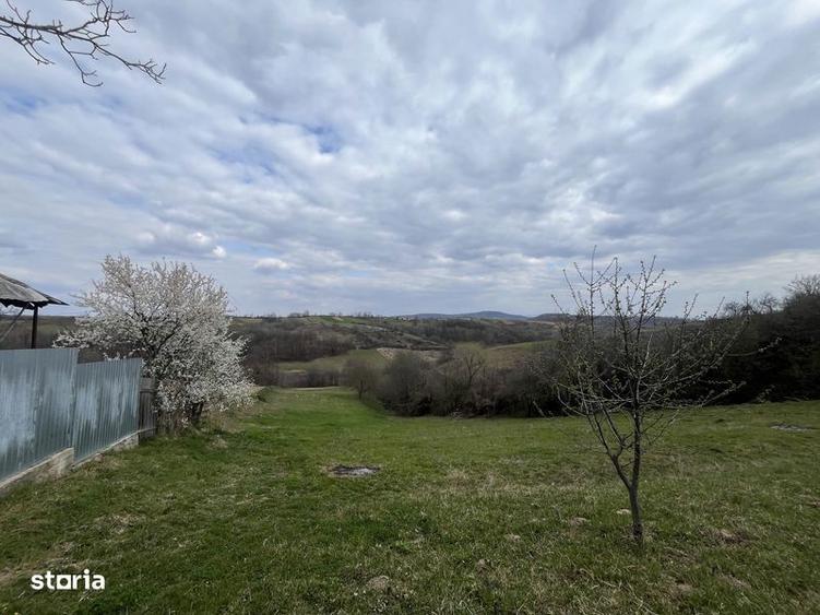 Teren de 5000 mp, în Copăcel