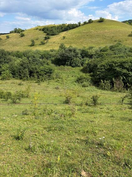 Teren agricol extravilan de 2200 mp, în Vlaha