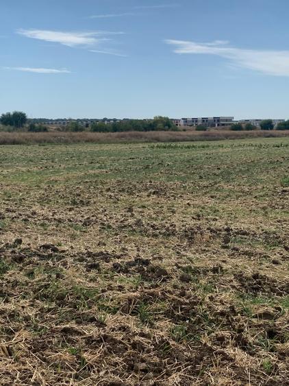 Teren Construcții intravilan de 21200 mp, în Tunari