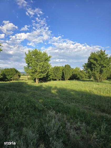 Teren de 8500 mp, în Central