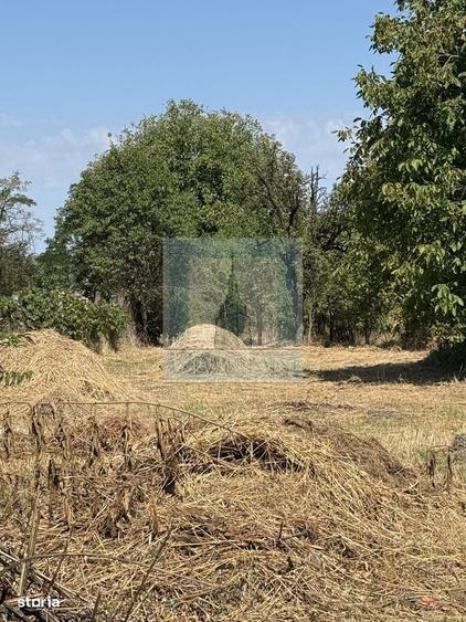 Casă cu 3 camere semidecomandat în Cuciulata