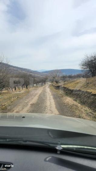 Teren extravilan, 20 de arii, Valea Rusului, pretabil pentru investiti - 1