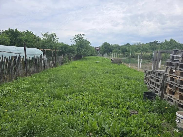 Casă cu Teren 1410 Mp în Cocora