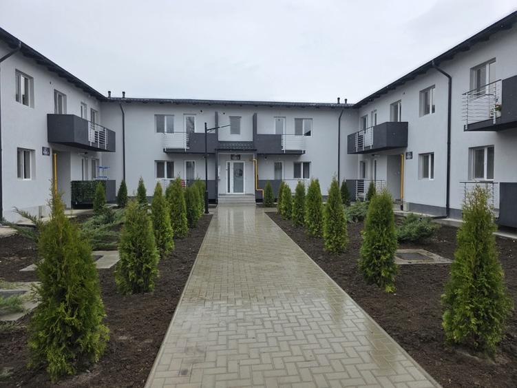 Apartament 1 camera inchiriere Lunca Cetatuii, Bucatarie mobilata - 2
