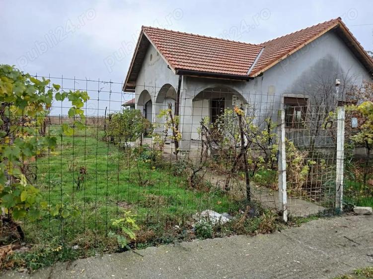 Casă cu 5 camere cu Teren 99999 Mp în Central