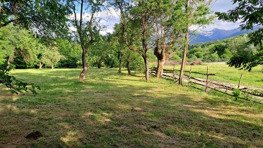 Teren de 3700 mp, în Porumbacu de Sus