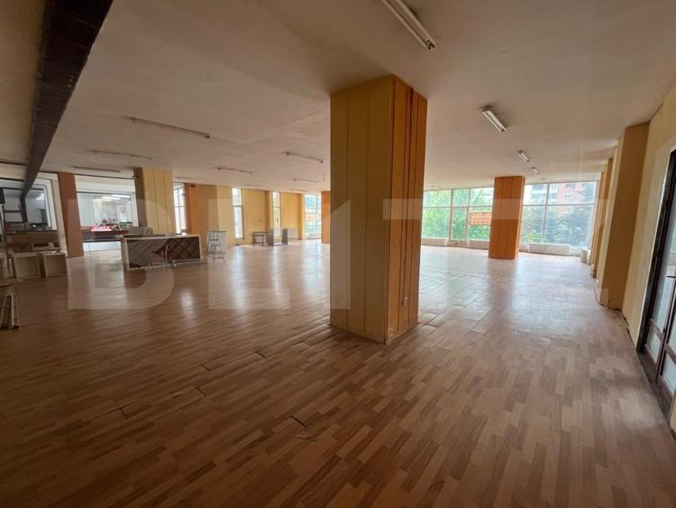 Spațiu comercial, de 790 mp, în Rogerius
