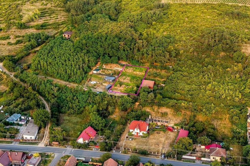 Teren de 1150 mp, în Miniș