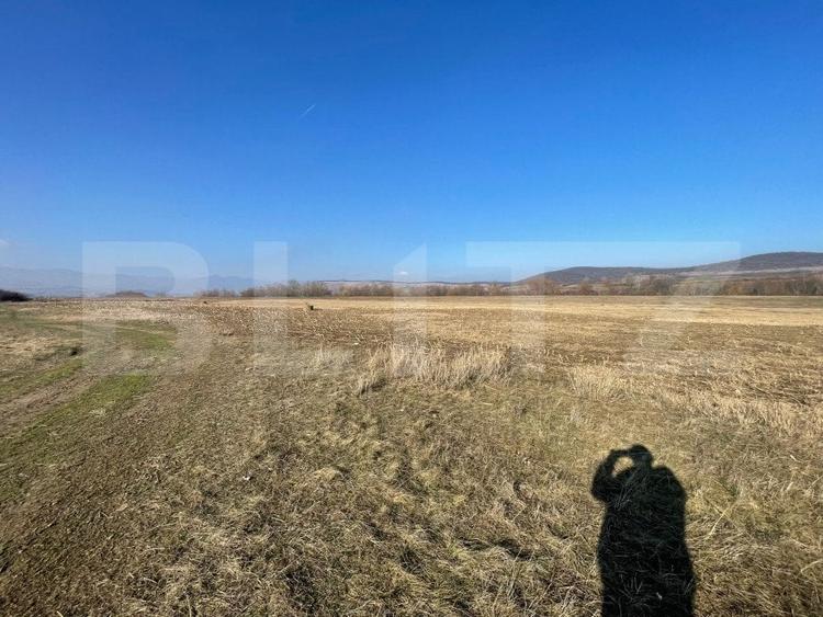 Teren Construcții extravilan de 5000 mp, în Bărăbanț