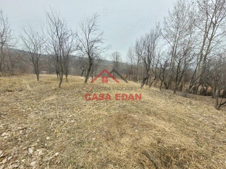 Casă cu Teren 1358 Mp în Gura Beliei