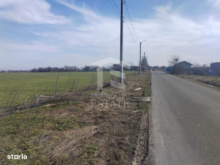 Spațiu comercial, în Tânganu
