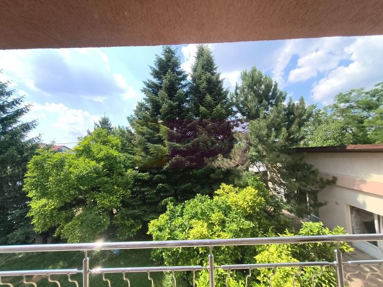 Vila de lângă Catedrala Ortodoxă ,,Sfânta Cuvioasă Parascheva" - 49