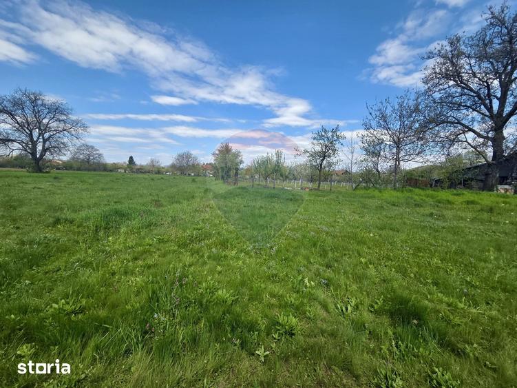 Teren de 4733 mp, în Drajna