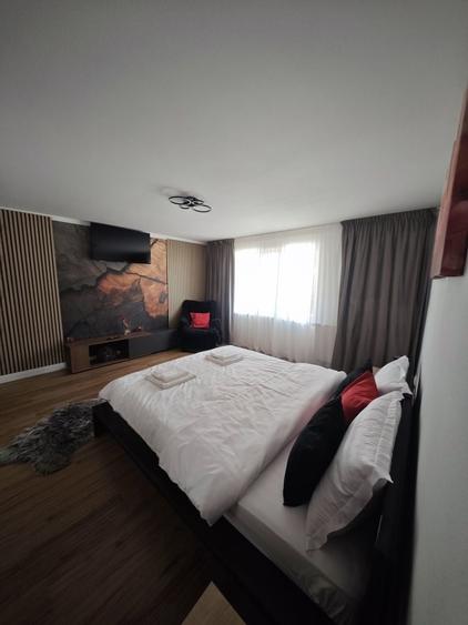 Apartament 2 camere de inchiriat Zona Iulius Mall - 2
