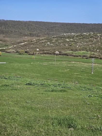 Teren de 7200 mp, în Crețești