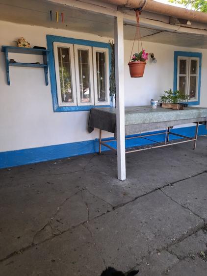 Casă cu 3 camere în Central