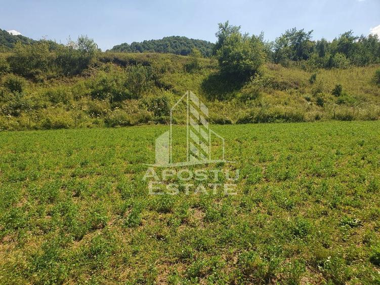 Teren agricol intravilan de 2848 mp, în Negoiu