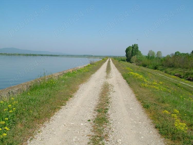 Teren de 8000 mp, în Drăgoești