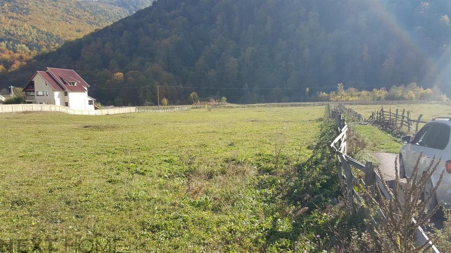 Teren intravilan de 6025 mp, în Lepșa