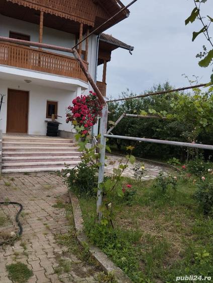 Casă cu 2 camere cu Teren 8000 Mp în Budieni
