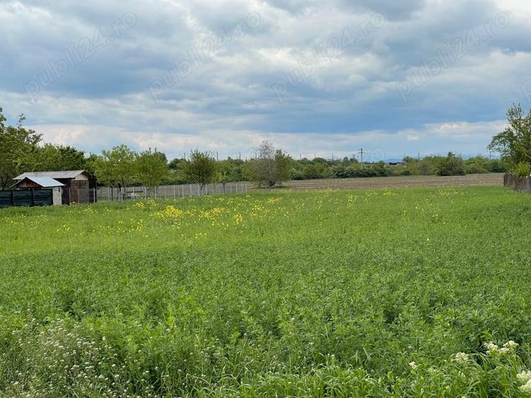 Teren de 2500 mp, în Berceni