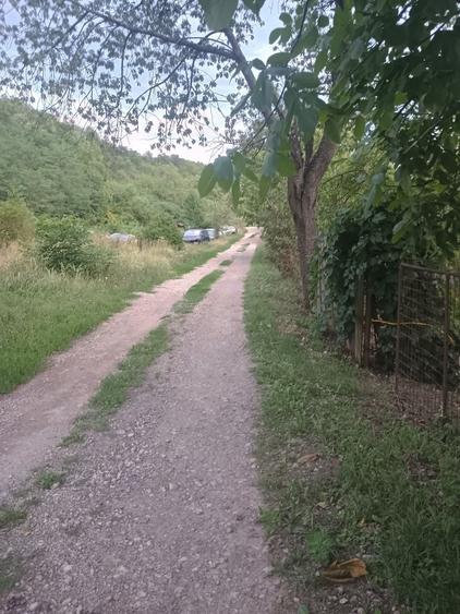 Teren la 2km de Deva - 3