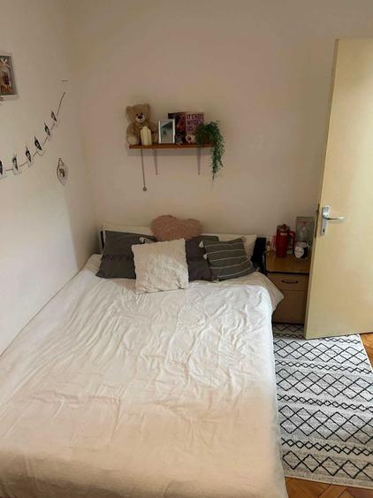 Apartament cu 4 camere decomandat în Dosu Bricii